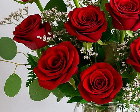 Premium Roses 12, 24, 48 Long Stems