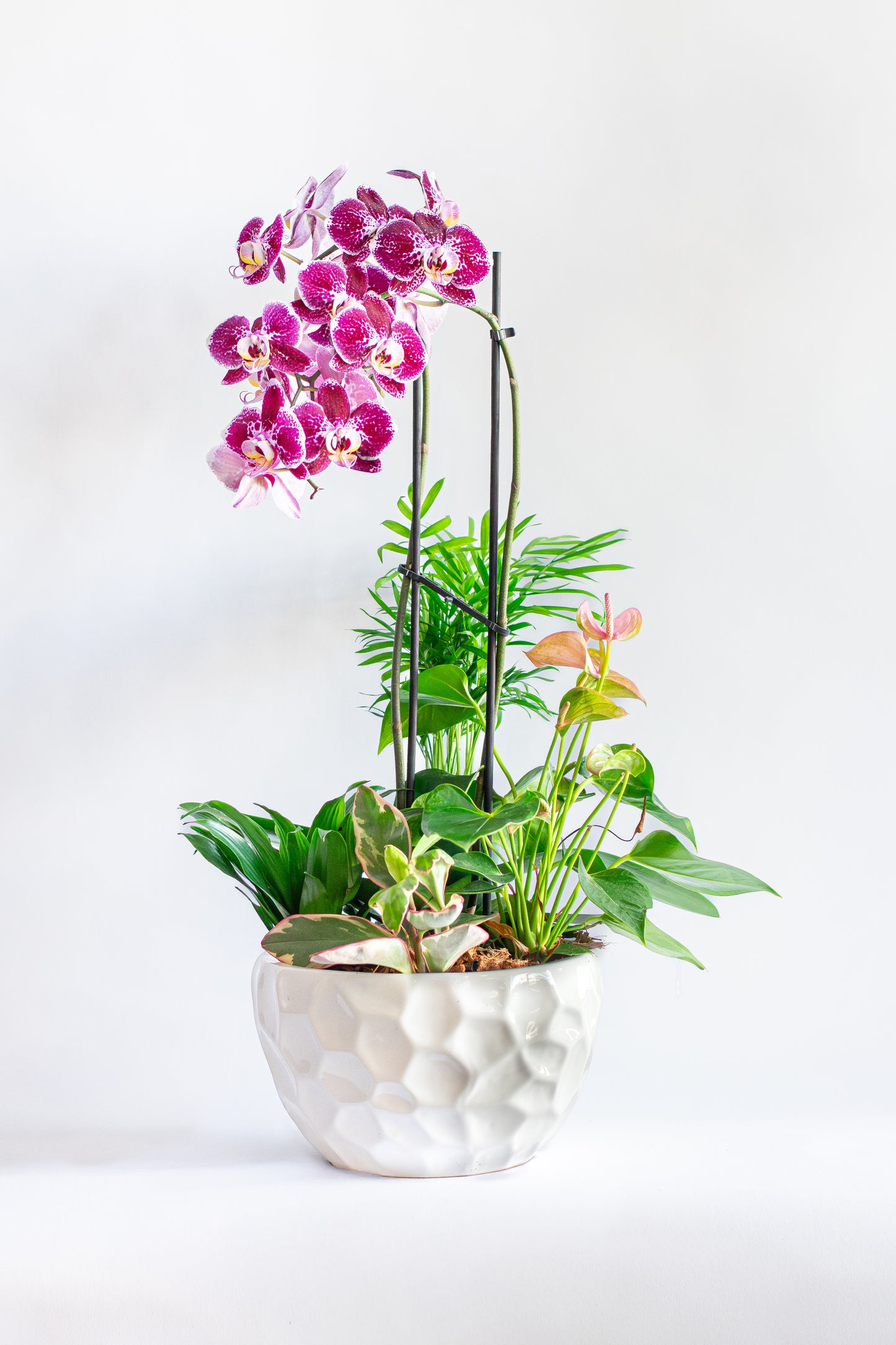 Sympathy Planter with Orchid