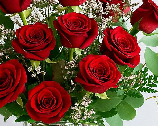 Premium Roses 12, 24, 48       Long Stems